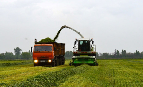Трактористи, агрономи, ветеринарні лікарі зможуть отримати бронь від мобілізації на рік