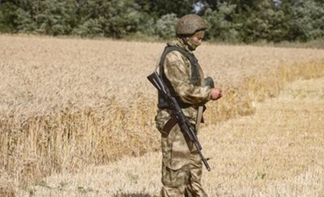 Окупанти та колаборанти власноруч руйнують аграрний сектор захопленої Запороізької області