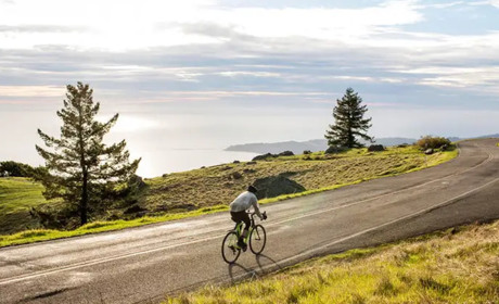 Як вибрати шосейний велосипед новачкові?