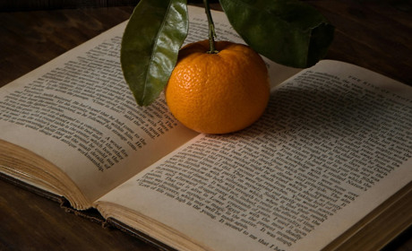 Книги, що змінюють наше життя