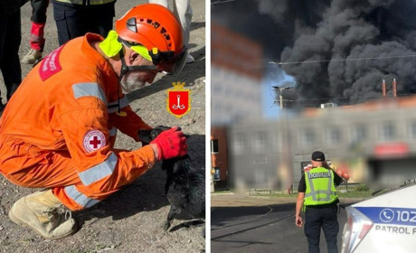 Троє постраждалих і врятований з-під завалів пес. Удар по Одесі 24 червня, інформація оновлюється