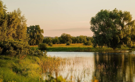 Мешканців Чернігівщини запрошують взяти участь у фотоконкурсі пам’яток природи