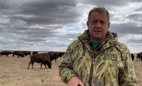 Викрадення тварин із заповідника "Асканія-Нова" продовжується