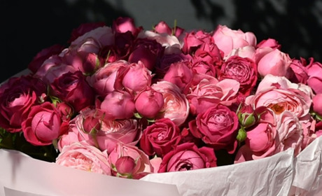 Кольори троянд та їхнє значення