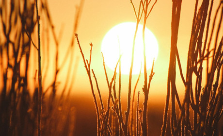 Погода в Кагарлику та Ржищеві на тиждень - з 1 по 7 липня