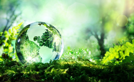 Податкова інформує: строки сплати земельного податку фізичними особами