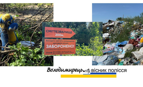 Володимирецька громада – проблема стихійних сміттєзвалищ і що з нею робити?