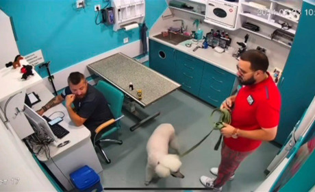 Скандал у ветклініці в Одесі: чоловік облаяв лікаря і ветерана ЗСУ на протезах. Відео інциденту