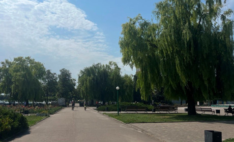 Актуальні напрямки громадського транспорту у місті на думку мешканців