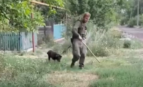 Ноїв ковчег з Торецька: волонтери евакуювали 60 тварин з прифронтового міста