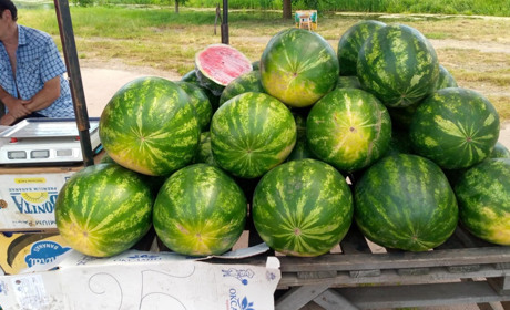 Смугаста ягода вже у продажу