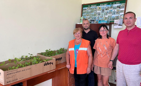 По Южненській громаді висадять ще 200 дерев