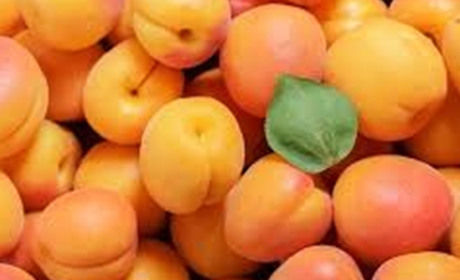 Абрикосовий рай: готуємо варення, фанту, мохіто, пиріг, джем та галету