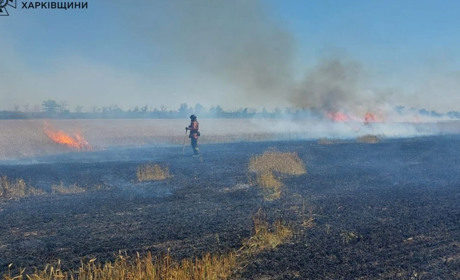 Ворожі війська знищили збіжжя на площі 20 гектарів у Курилівській громаді
