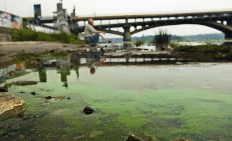 “Чому у Дніпрі вода зелена і схожа на кисіль?” — відповідь на це запитання “знає” Наяда-2