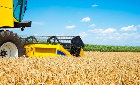 Аграрії Полтавщини намолотили майже мільйон тонн нового врожаю