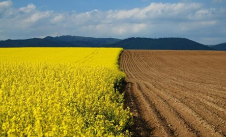 Податкова інформує:фізособи-землевласники та землекористувачі мають право на звірку нарахованого МПЗ