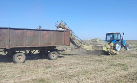 Окупаційна влада створила протипожежні прокоси на території заповідника "Асканія-Нова"