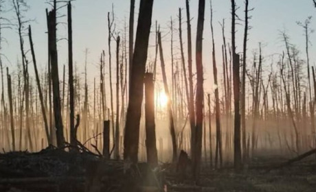 Свистить і літає, спати не дає. В окупованій Кремінній дуже гучно: 15 прильотів, немає світла