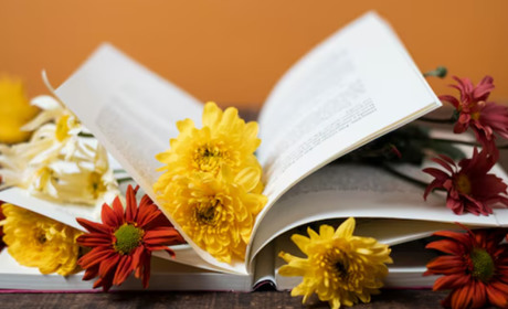 Книги з української літератури для 11 класу: найкращий вибір для успішної підготовки