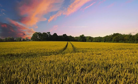 Податкова інформує: щодо нарахування фізичним особам плати за землю