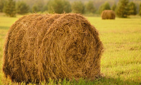 Що прогнозують синоптики на кінець липня