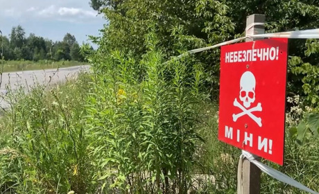 Вибухотехніки поліції Луганщини від початку року знешкодили понад 800 боєприпасів