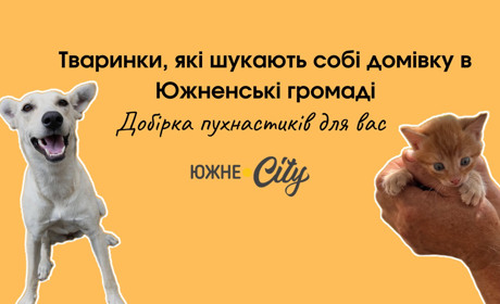 Вухаті та хвостаті, які шукають собі родину в Южненській громаді (ФОТО)