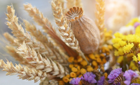 Церковні свята у серпні 2024 року: православний календар за юліанським та новоюліанським стилями