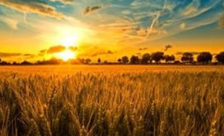 Свята церковні та державні у серпні 2024 року: дивіться календар