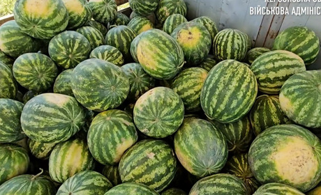 Херсонський кавун отримав географічне зазначення