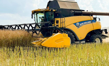 22,7 мільйона гривень податків перерахувало ПрАТ «Агрофорт» за І півріччя 2024 року