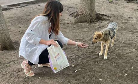 Німецькі волонтери передали корм для тварин евакуйованим мешканцям Торецької громади
