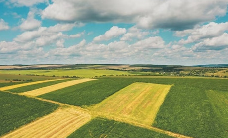 Краснолуцька та Лютенська громади проведуть інвентаризацію земель