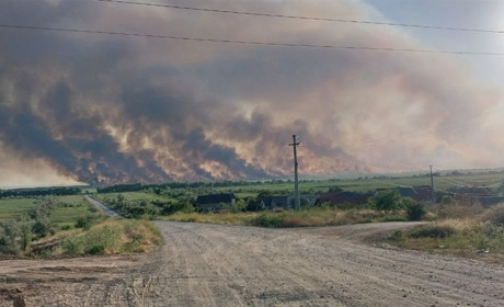 Між селами Яськи і Маяки, біля двох озер, горів очерет: вогонь охопив і Нижньодністровський нацпарк