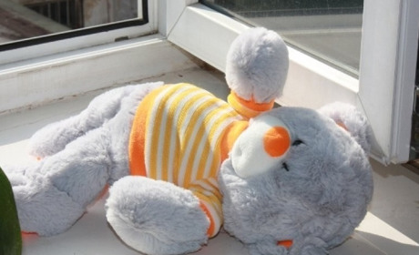 Сперлася на москітну сітку: в Одесі маленька дівчинка випала з вікна п'ятого поверху