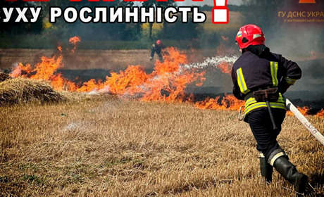 Рятувальники Житомирщини ліквідували понад 500 пожеж у природних екосистемах з початку року