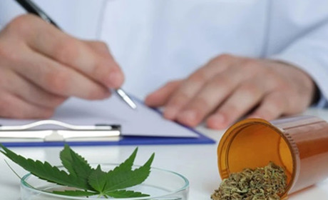 Медичний канабіс в Україні легалізовано: що змінює введений в дію закон і для кого