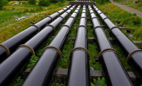 «Нафтова голка»: як Україна обмежила пальне для Угорщини і Словаччини
