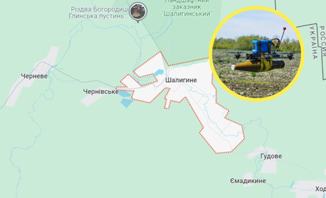 Внаслідок удару ФПВ-дроном по Шалигинській громаді поранений 74-річний чоловік