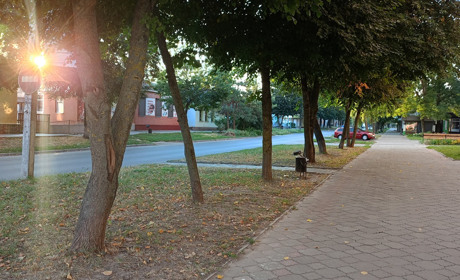 Погода на тиждень: що прогнозують синоптики на Гадяччині