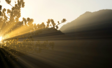 Погода в Кагарлику та Ржищеві на тиждень - із 2 по 8 вересня