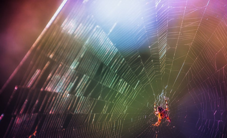 Погода у Старокостянтинові на 2-8 вересня: яким буде початок осені