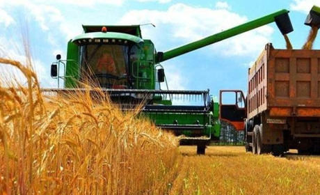 Збір врожаю під ворожими обстрілами: аграрії Чернігівщини переходять до озимих культур