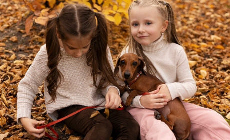 Школярі Гадяччни можуть взяти участь у конкурсі "Діти на захисті тварин"