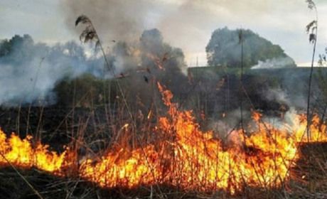 У Соснівці сталася масштабна пожежа: згоріли 15 споруд та два вантажні автомобілі