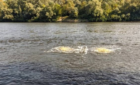 На міському пляжі Чернігова зафіксовано масовий замор риби. Ситуація з забрудненням Десни