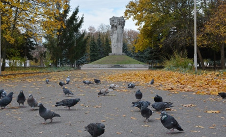 Звідки походять прізвища золотонісців?