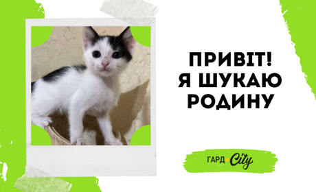 Знайдіть свою Маркізу