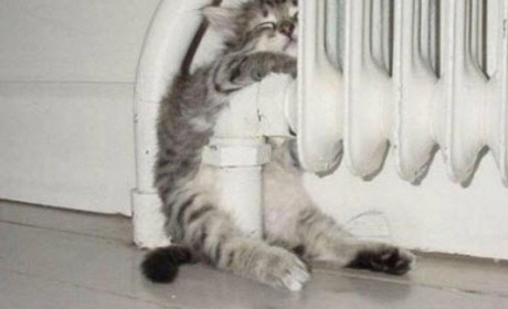 У Гадячі тарифи для населення на теплову енергію не підвищуватимуть